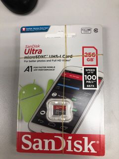 SanDisk 256GB Micro SD card630071330979861113