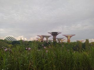 (Category: ) located in . Submitted by fato.o (Listing ID 1113444793, Image 1). Description: .