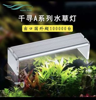 （分類：）位於 。 由 boneh 提交（商品編號 1113660640，圖片 1）。簡介： 。