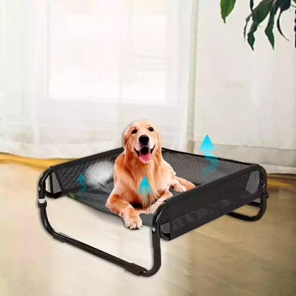 Elevated folding store dog bed