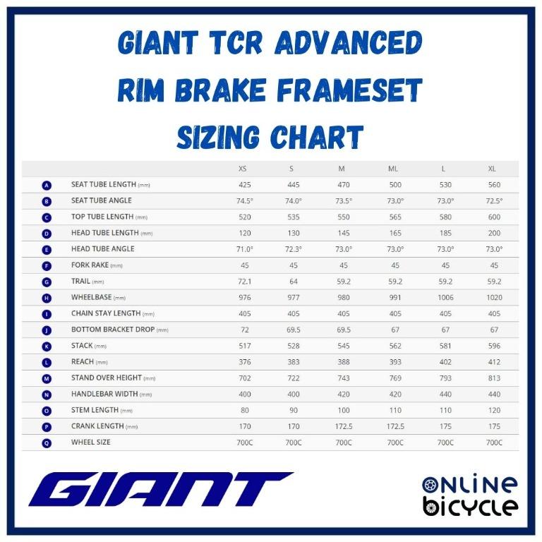 Size chart top giant tcr