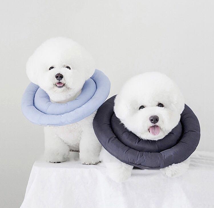 Comfortable store e collar
