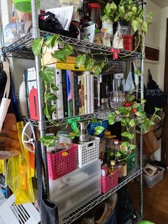 (Category: ) located in . Submitted by monford (Listing ID 1113743689, Image 1). Description: .