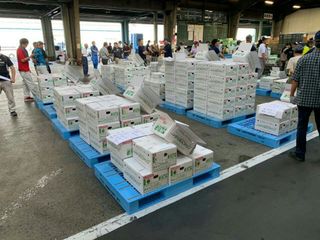 （分類：）位於 。 由 putrolley 提交（商品編號 1113874979，圖片 1）。簡介： 。