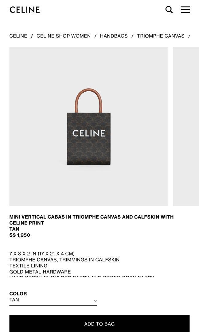 MINI VERTICAL CABAS IN TRIOMPHE CANVAS AND CALFSKIN WITH CELINE PRINT - TAN