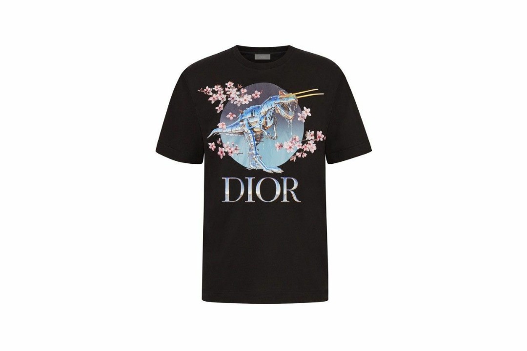 dior x hajime