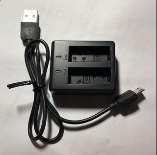 Dual Battery Charger