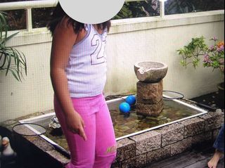 (Category: ) located in . Submitted by ctclc (Listing ID 1113856835, Image 1). Description: .