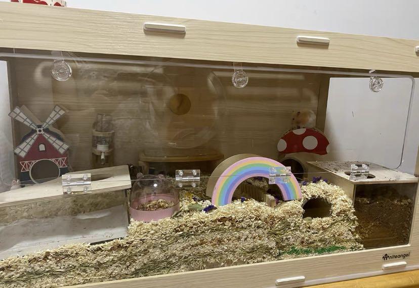 Hamster nite angel cage/enclosure, Pet Supplies, Homes & Other Pet