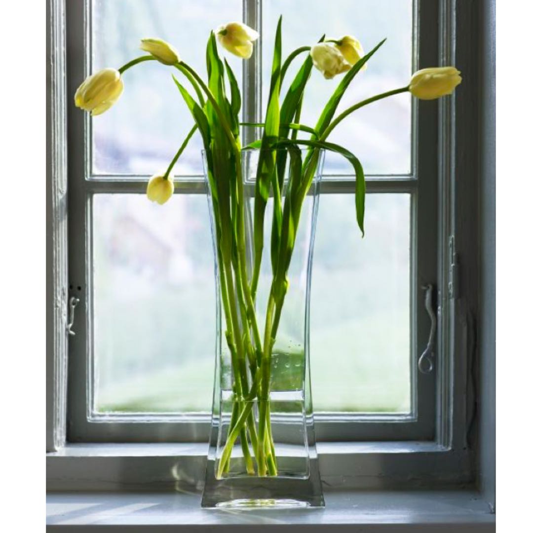 Ikea glass vase tall slim narrow rectangle rektangel flower pot stand