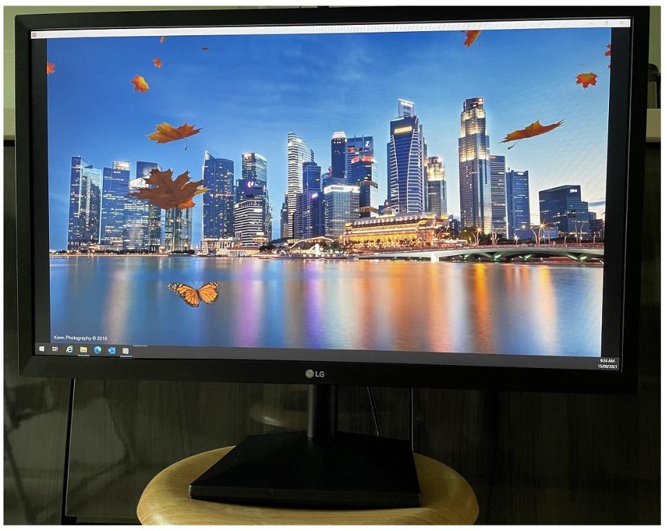 Monitor LG 24 FHD 1920x1080 75Hz HDMI VGA 24MK430H-B - Electro A