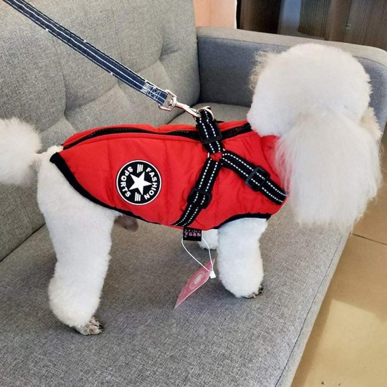 Medium shop dog jacket