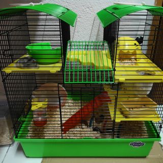 (Category: ) located in . Submitted by _ajiq (Listing ID 1113853498, Image 1). Description: .