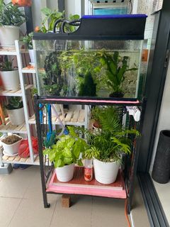 (Category: ) located in . Submitted by applematcha (Listing ID 1113999181, Image 1). Description: .