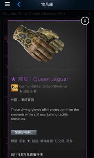 （分類：）位於 。 由 gg_csgo 提交（商品編號 1113947796，圖片 1）。簡介： 。