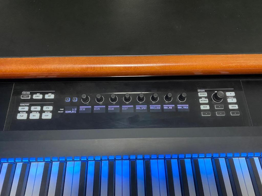 Native Instruments Komplete Kontrol S88 Mk1 Keyboard + sustain pedal