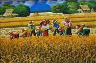 Rice Harvest 24"x36"