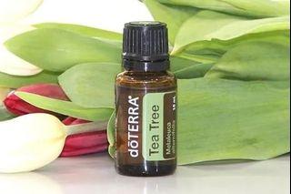 Tea Tree (Normal: RM128)