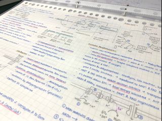 (Category: ) located in . Submitted by eliotlyl (Listing ID 1114255626, Image 1). Description: .