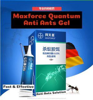 Bayer Maxforce Quantum Anti Ants Gel Bait - 5g