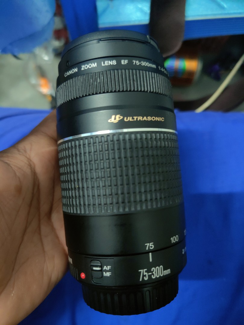 Canon Ef 75 300 Mm Photography On Carousell