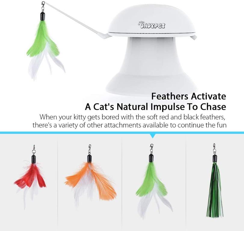 Dadypet cat laser toy cheap