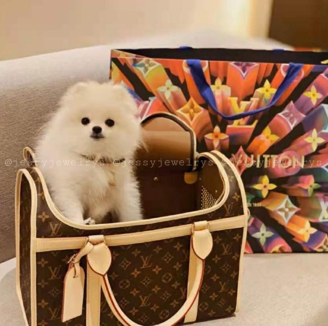 LV Pet Carrier 50 & 40 Monogram Canvas, Women's Fashion, Bags & Wallets,  Shoulder Bags on Carousell