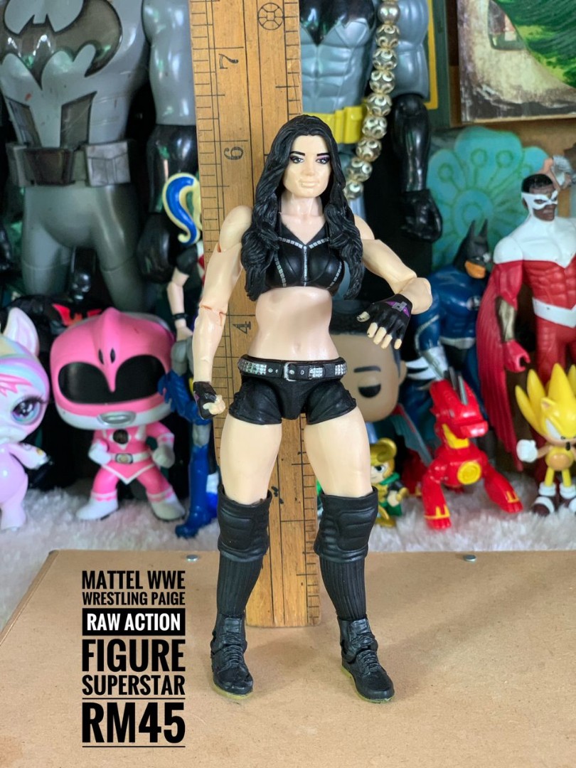 Mattel WWE Wrestling Paige Raw Action Figure Superstar Hobbies