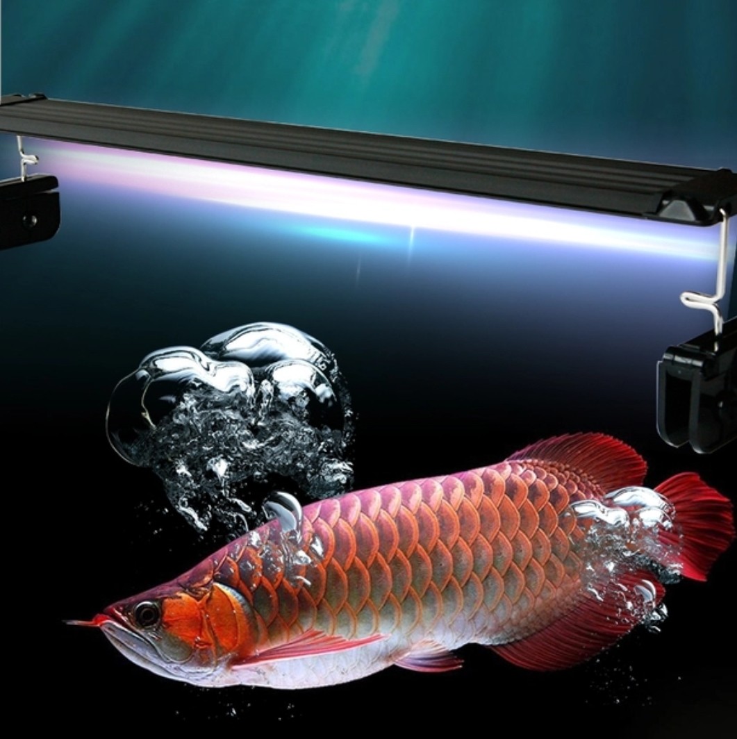 5ft aquarium light sales