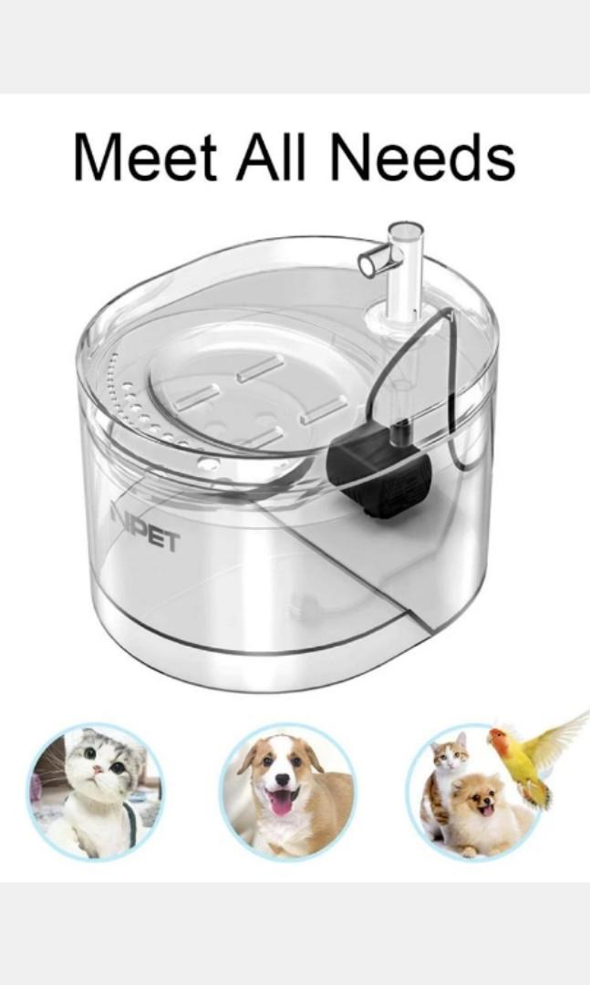Npet cat store dog water fountain