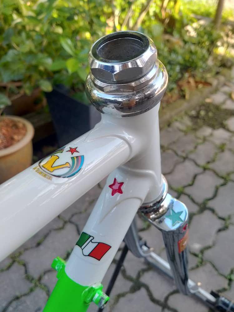 Viner frameset sales
