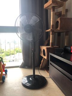 (Category: ) located in . Submitted by marcopolo1666 (Listing ID 1114440253, Image 1). Description: .