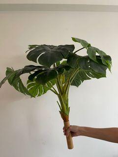 Monstera Plant (Artificial)