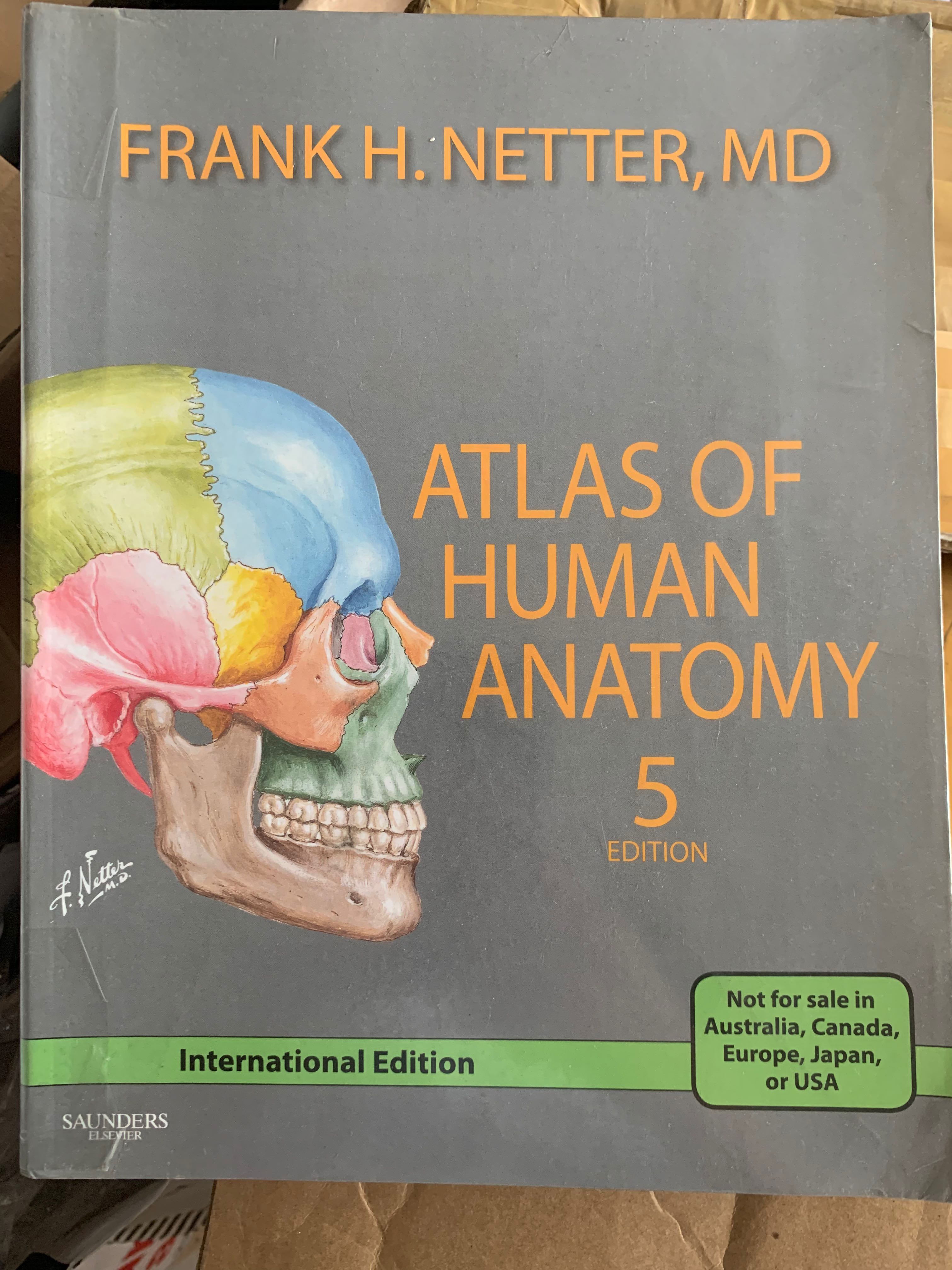Atlas of Human Anatomy Netter 5th Edition Original Copy, Hobbies & Toys ...