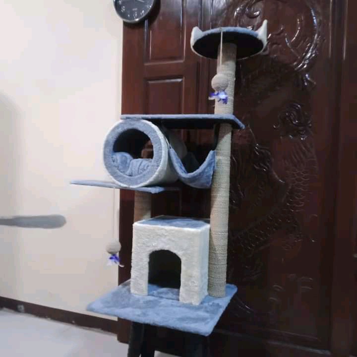 harga cat condo