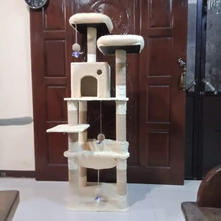 jual cat condo