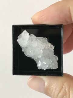 (Category: ) located in . Submitted by clear.random.treasures (Listing ID 1112901475, Image 1). Description: .
