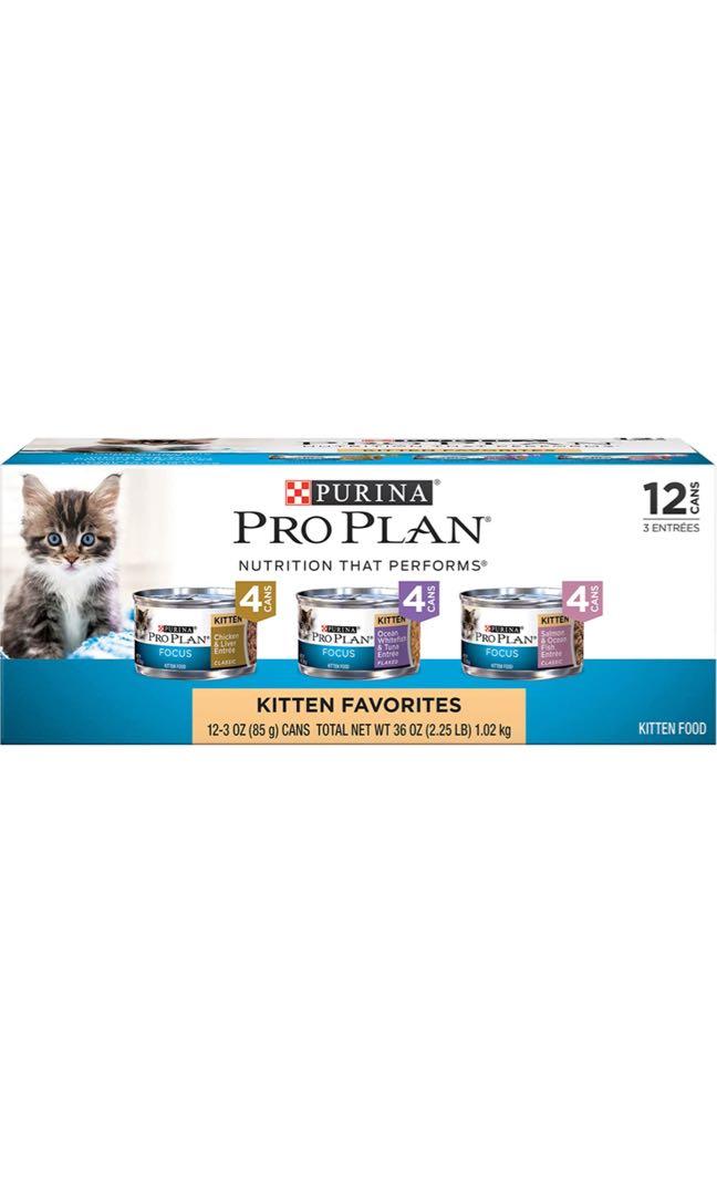 purina kitten wet food