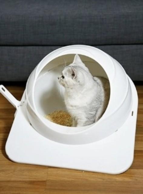 globe litter box