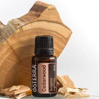 Cedarwood (Normal: RM79)