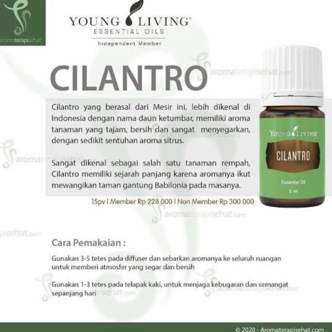 Cilantro young living manfaat