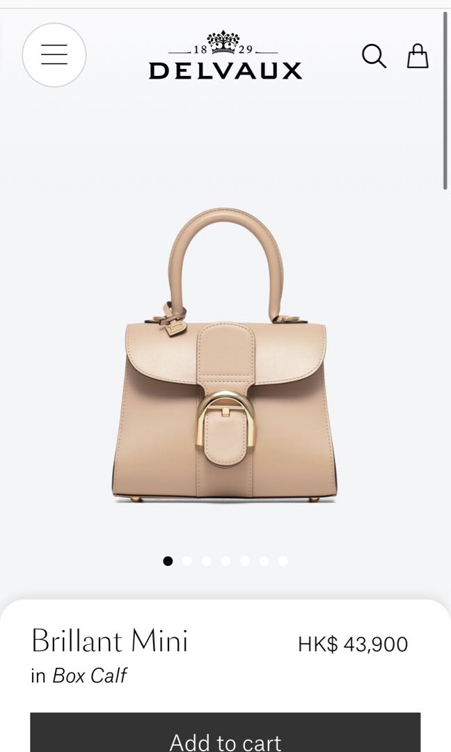 Delvaux brillant sales hk