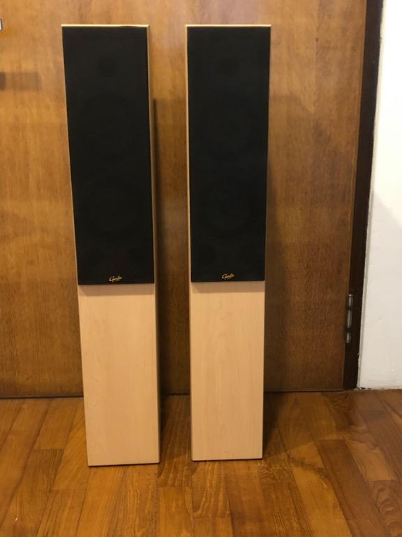 Gale floor standing speakers deals