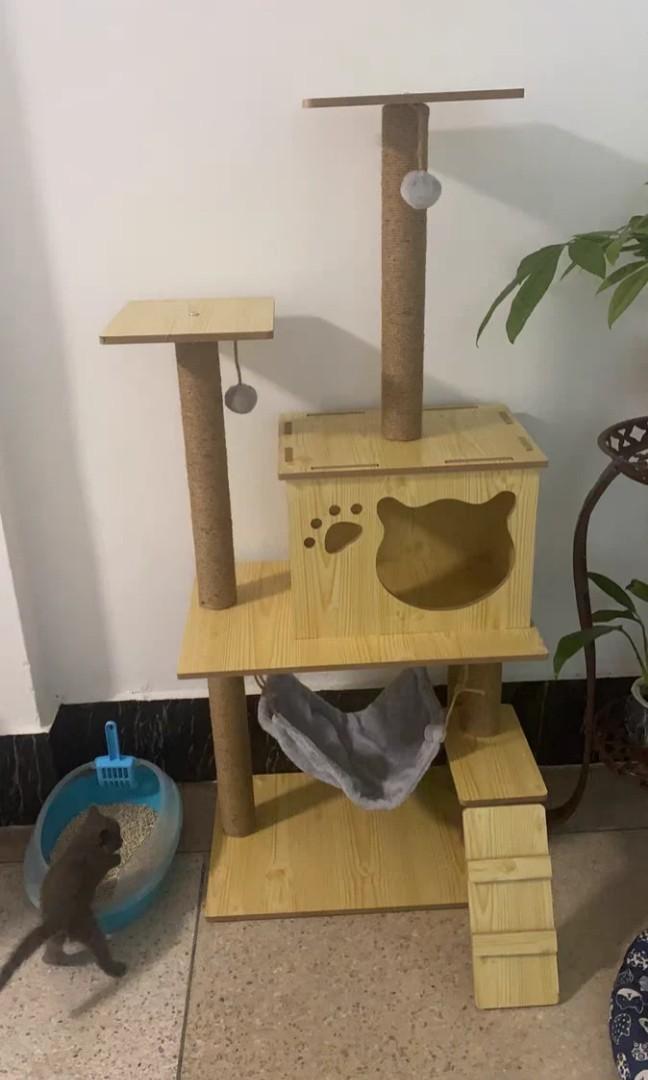 Kucing Rumah Pokok Condo/ Kucing Cat Tree House 🐱, Pet Supplies 
