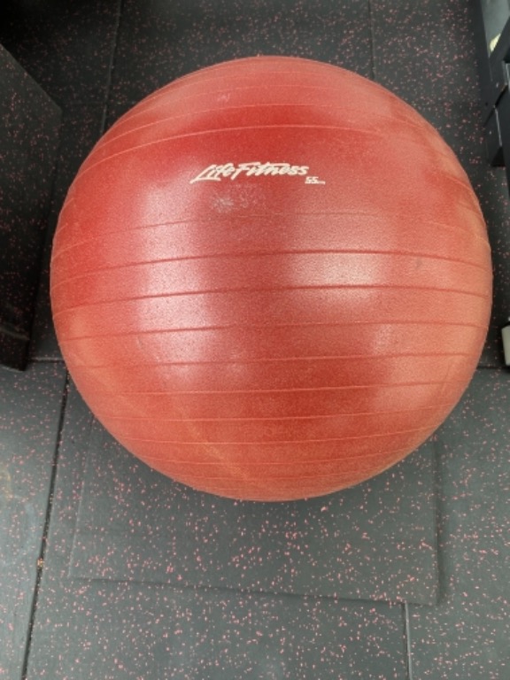 Life Fitness Anti-Burst Gym Ball