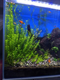 (Category: ) located in . Submitted by ahbo76 (Listing ID 1114609143, Image 1). Description: .