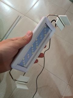 (Category: ) located in . Submitted by thingsrandomshop (Listing ID 1114717417, Image 1). Description: .