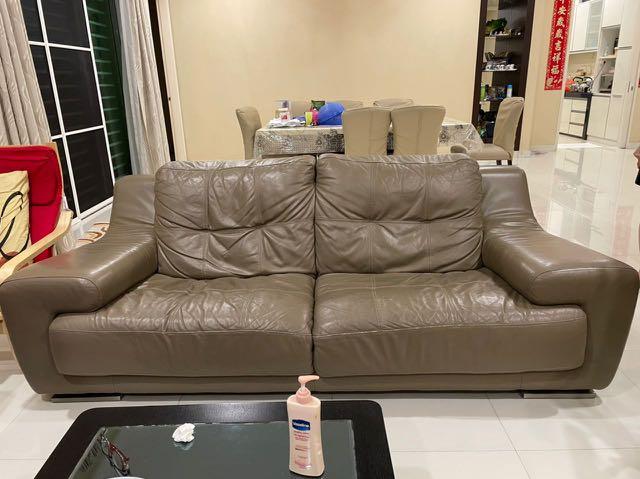 Rozel online sofa price