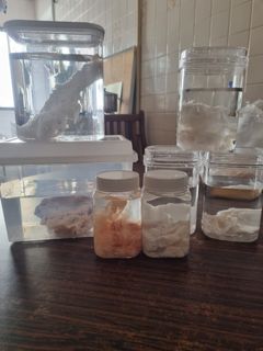 (Category: ) located in . Submitted by THEAGARWOOD (Listing ID 1111097522, Image 1). Description: .