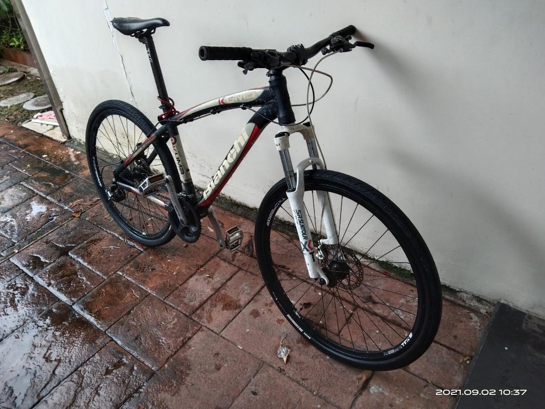 Bianchi kuma 4650 cheap